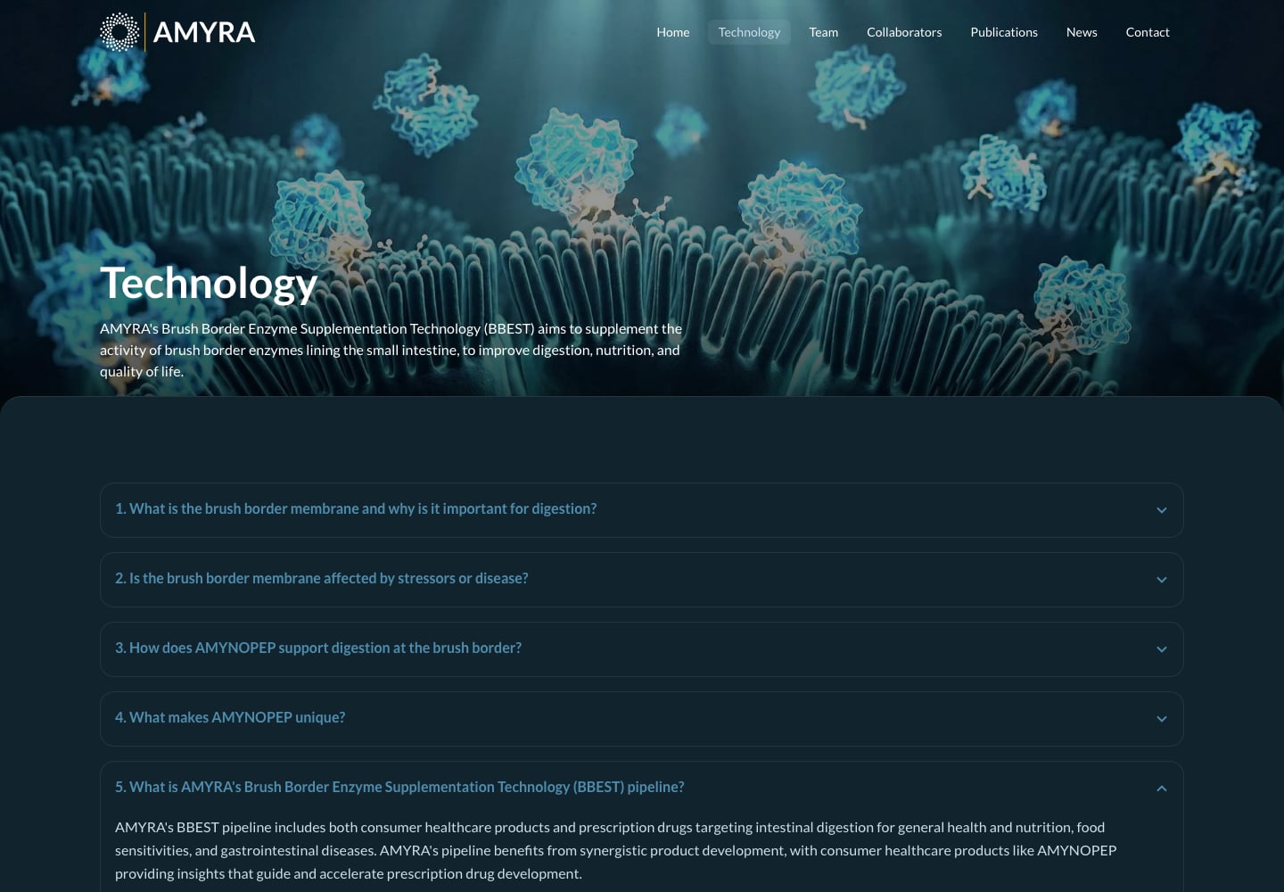 Technology and the BBEST platform